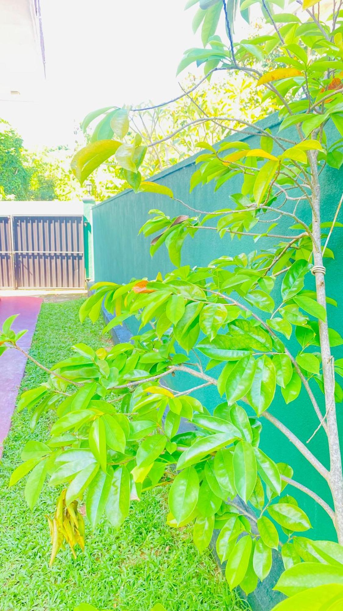 Sanasuma Villa Bentota Exteriér fotografie